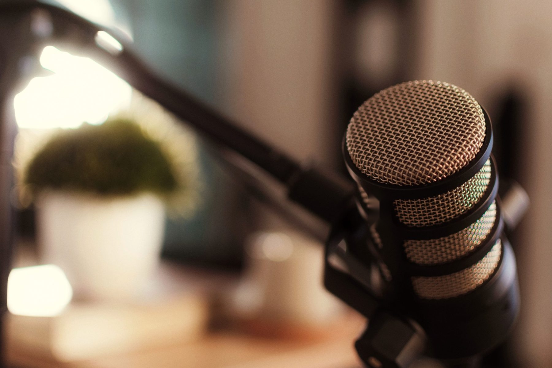 A microphone in warm light with a plant behind