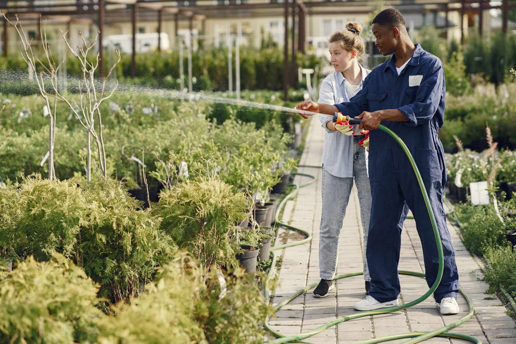Two colleagues walking along a garden path with a hose