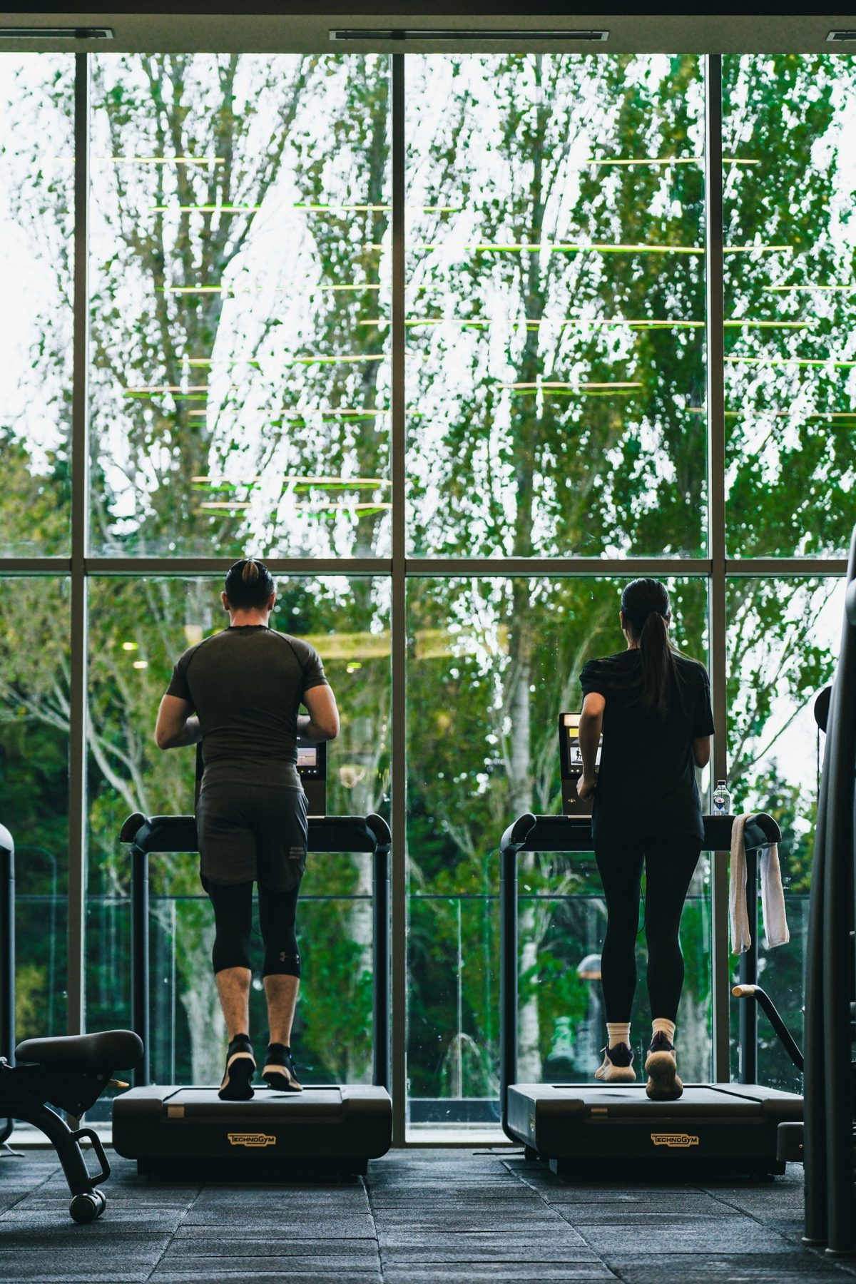 Two people standing in front of a tall window full of trees